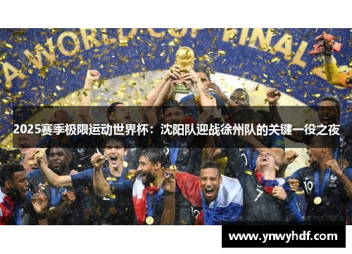 2025赛季极限运动世界杯：沈阳队迎战徐州队的关键一役之夜