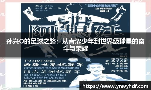 emc易倍官网